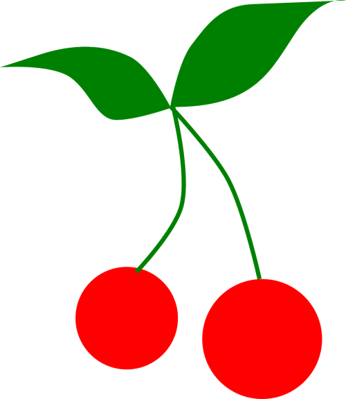 cherries fruit leaves