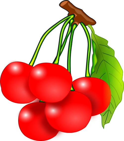 cherries fruits red