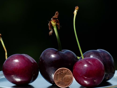 cherries large huge