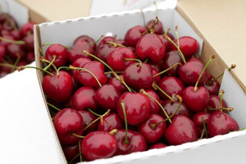 cherries new zealand