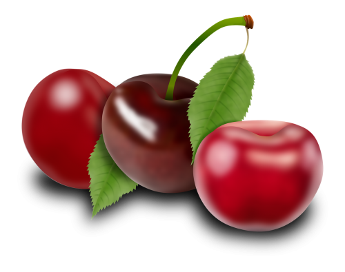 cherries fruits plants