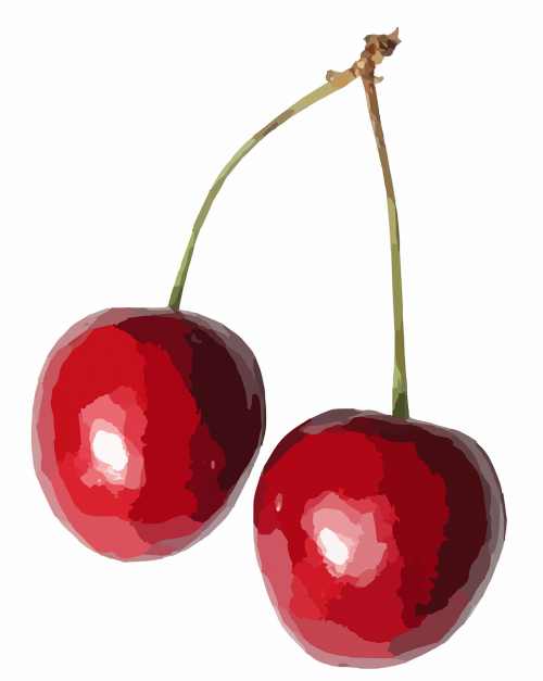 cherries food fruit