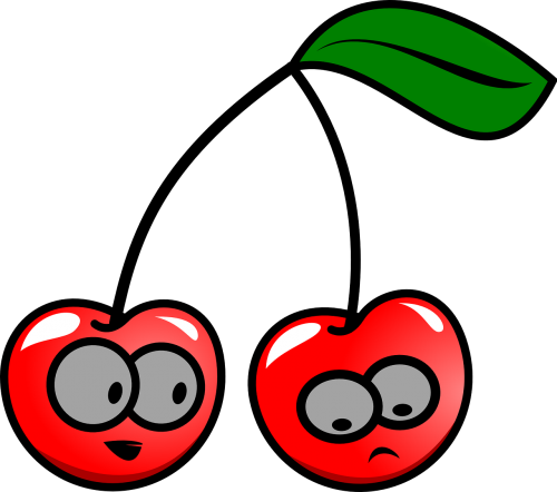 cherries red fruits