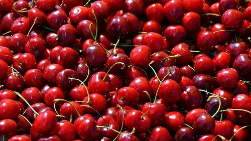 cherries  fruit  sweet cherries