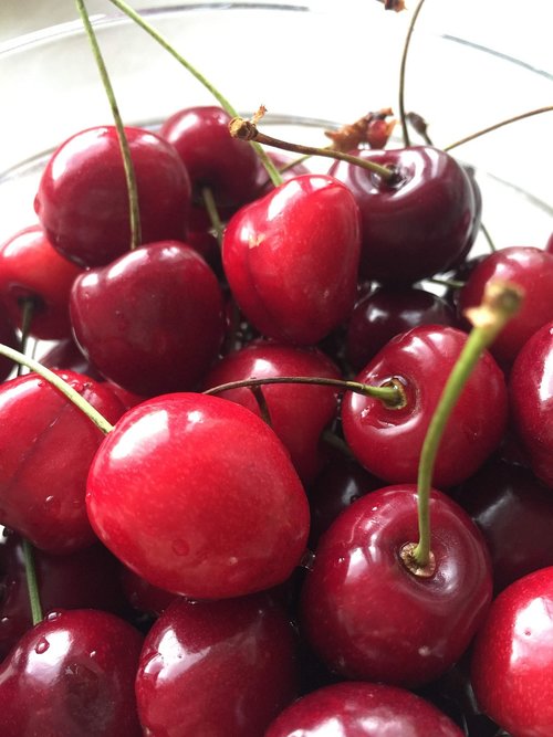 cherries  fruit  eating
