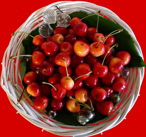 cherries  fruit  ripe