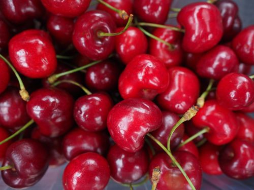 cherries red fruit