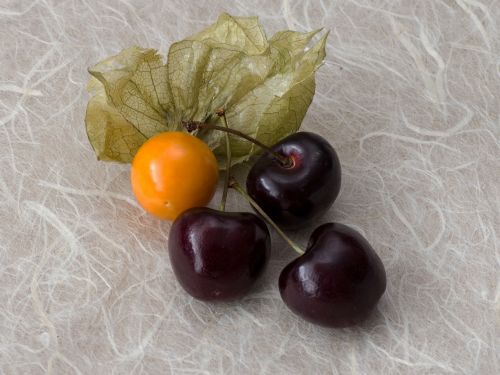 cherries physalis macro