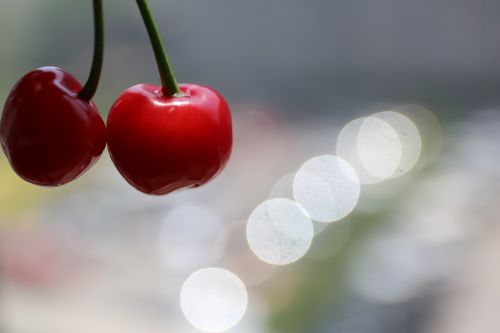 cherry fruit joy