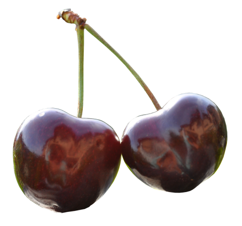cherry pair fruits