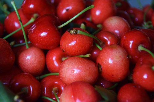 cherry  fruit  ripe