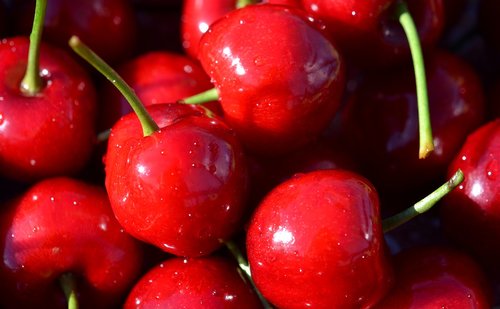 cherry  cherries  red