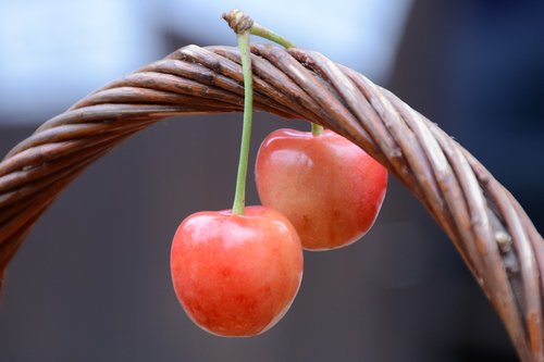 cherry  red  fruit
