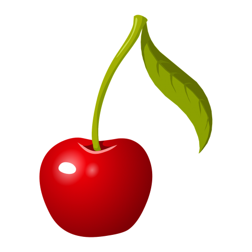 cherry stem fruit