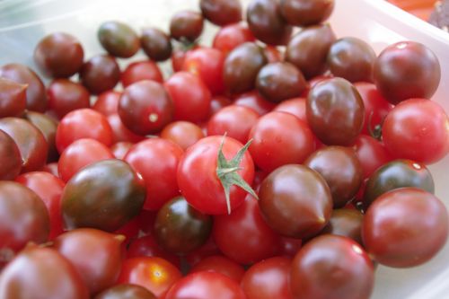 Cherry Tomatoes