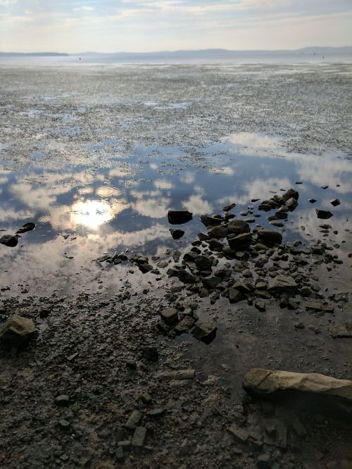 chesapeake bay low tide water