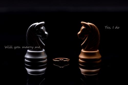 chess love story