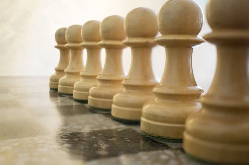 chess white pawns parts