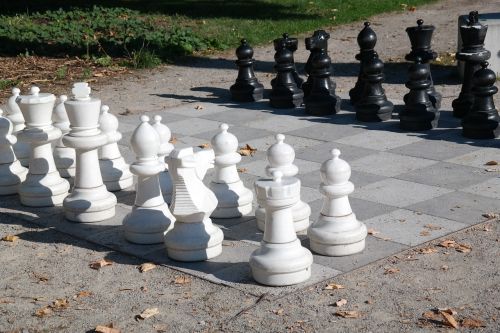 chess chess board chess pieces