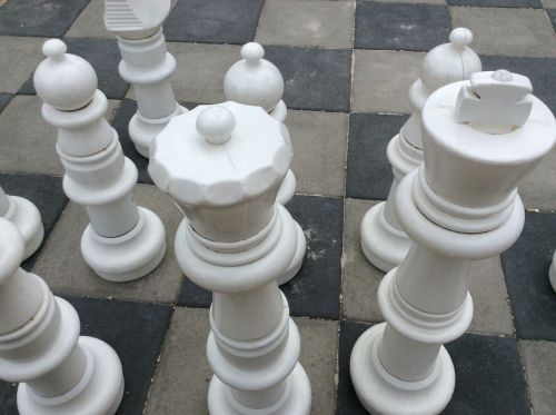 chess project management recruitment