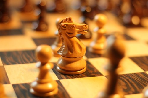 chess  springer  chess piece