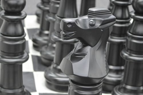 chess pieces knight chess