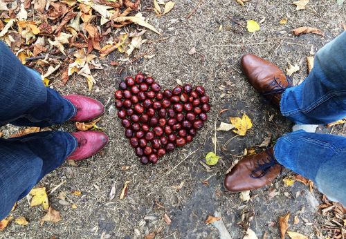 chestnut love heart