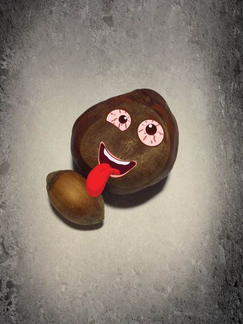 chestnut acorn comic