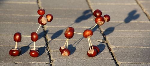 chestnut animal chestnut toothpick