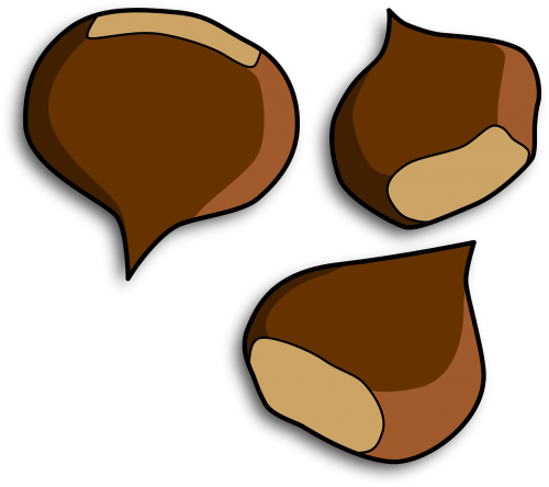chestnuts conker marron