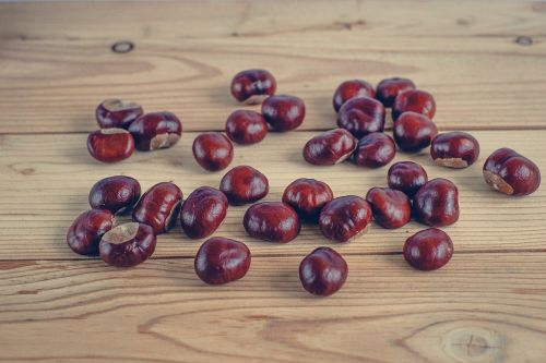 chestnuts autumn boards