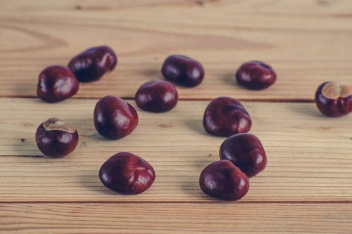 chestnuts autumn boards