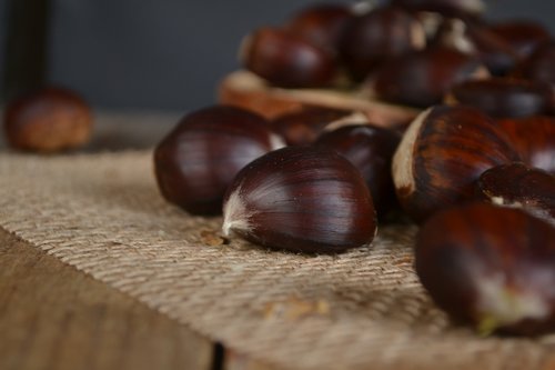 chestnuts  autumn  brown