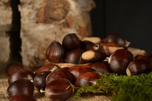 chestnuts  autumn  brown