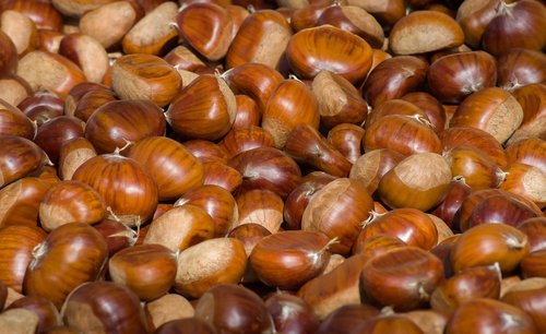 chestnuts  fall  chestnut