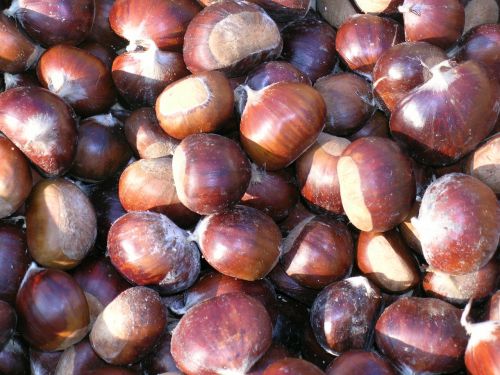 chestnuts autumn fruit