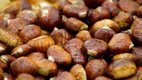 chestnuts fall brown