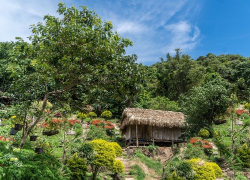 chiang mai thailand grass hut