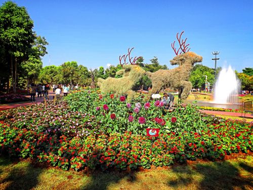 chiang rai thailand asia