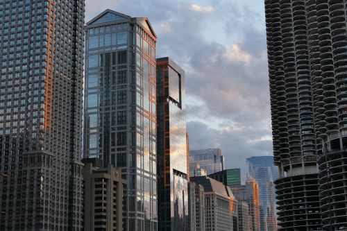 chicago skyscrapers evening