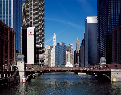 chicago river water