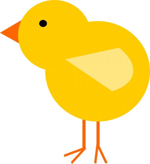 chick bird easter