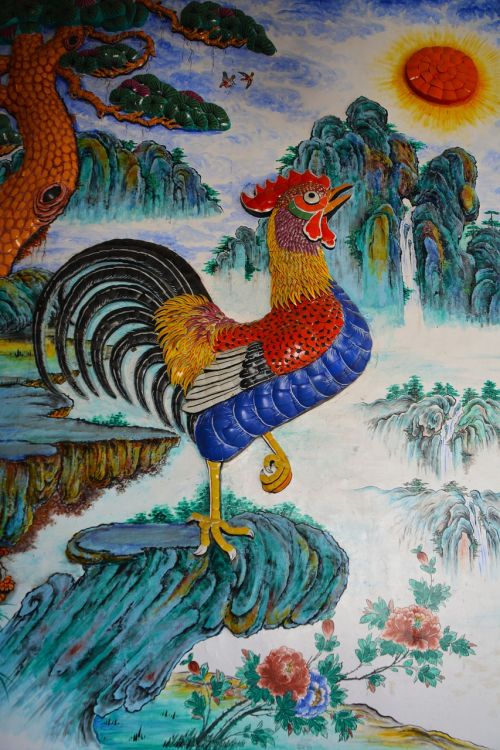 chicken cockerel rooster