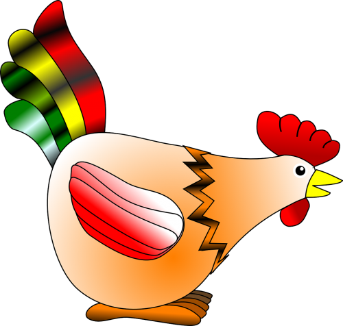 chicken hen rooster