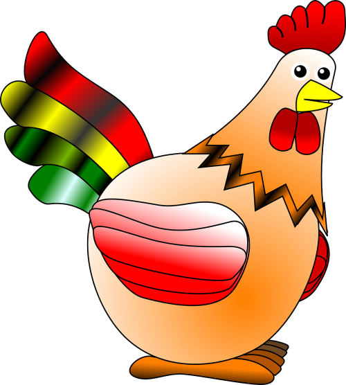 chicken hen rooster