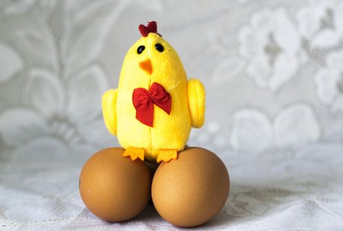 chicken toy eggs