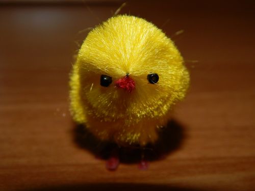 chicken chick ornament