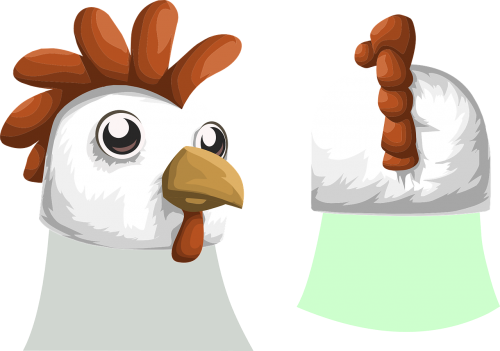 chicken head animal