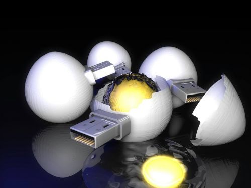 chicken eggs usb nature vs technology
