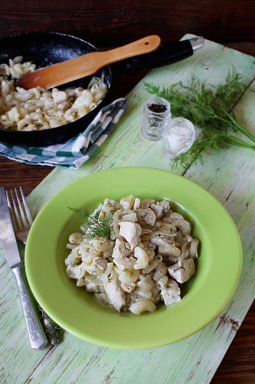 chicken with pasta chicken in cream pasta with chicken